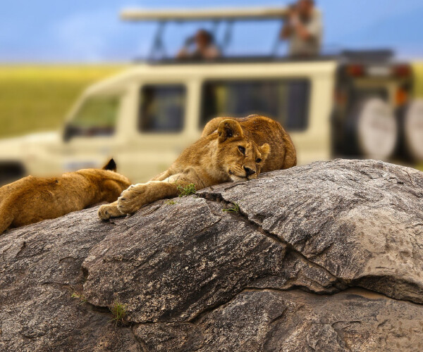 3 Jours au Serengeti et au Ngorongoro Safari Aventure